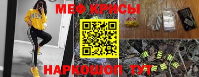 мдпв Гатчина