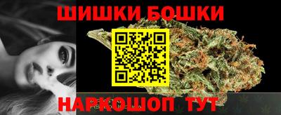 мдпв Гатчина