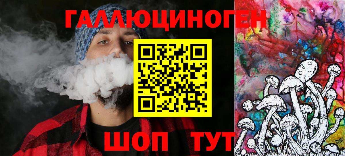 Псилоцибиновые грибы Psilocybine cubensis Обнинск