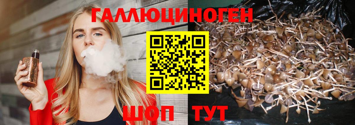 Псилоцибиновые грибы ЛСД Обнинск
